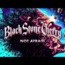 NOT AFRAID LYRICS by BLACK STONE CHERRY