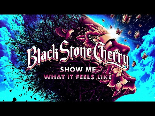 Show Me What It Feels Like Lyrics by Black Stone Cherry